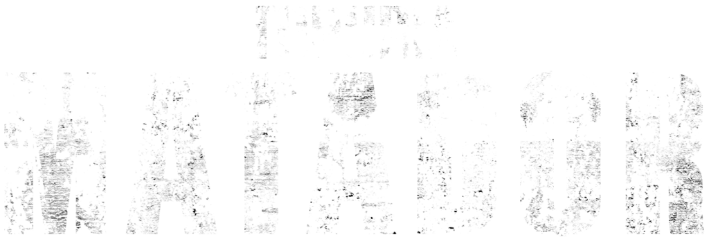 Topuria Matador